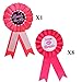 JOYIN Bachelorette Party Supplies Party Favors Including 8 Bachelorette Pink Beads,8 Team Bride Bachelorette Cups, 8 Team Bride Badge and 1 Bride to Be Badge