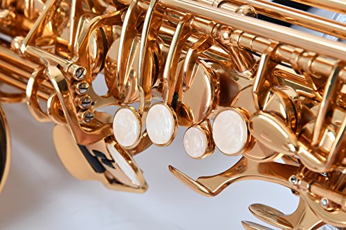 NEW! Herche Superior Alto Saxophone AS-630 Best for Students - Durable forged keys -Plush lined Saxophone BackPack Case - Leather Pads - Cork Grease - Saxophone Neck Strap - #2 Rico Saxophone Reeds
