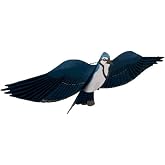 Jackite Assembled Blue Jay Bird Kite, Wind Sock