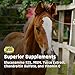 Majesty's Flex Wafers - Superior Horse / Equine Joint Support Supplement - Glucosamine, MSM, Chondroitin, Yucca, Vitamin C - 60 Count (2 Month Supply)