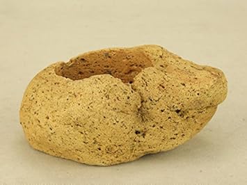 Amazon いよじ園 盆栽鉢 桜島産 付石 軽石 小サイズ 鉢