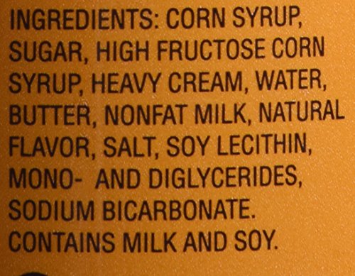 TORANI CARAMEL SAUCE FOR CRAFTING COFFEEHOUSE DRINKS, LARGE SQUEEZE BOTTLE, 16.5 FL OZ