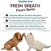 Dog Breath Freshener – Natural Oral Care Foam Spray – Freshens Breath & Reduces Dental Plaque and Tartar, 8oz