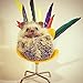 Dahey Cute Hedgehog Mini Chair Small Animal Toy Plastic Swivel Seat Decoration Photo Pops for Hamster, Mice, Other Small Pets, Yellow