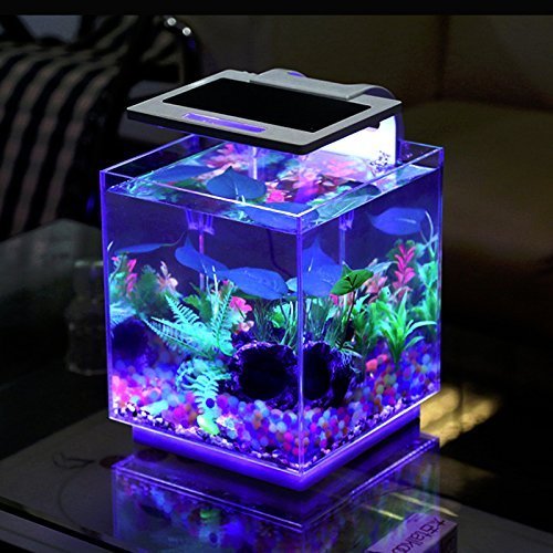 Aqua Innovations Aquarium Kit (Include Filter + LED Light) (15L - Cube)