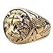 HAMANY Jewelry Men's Stainless Steel Ring Lion Head Shield Biker Vintage,Gold,Size 10