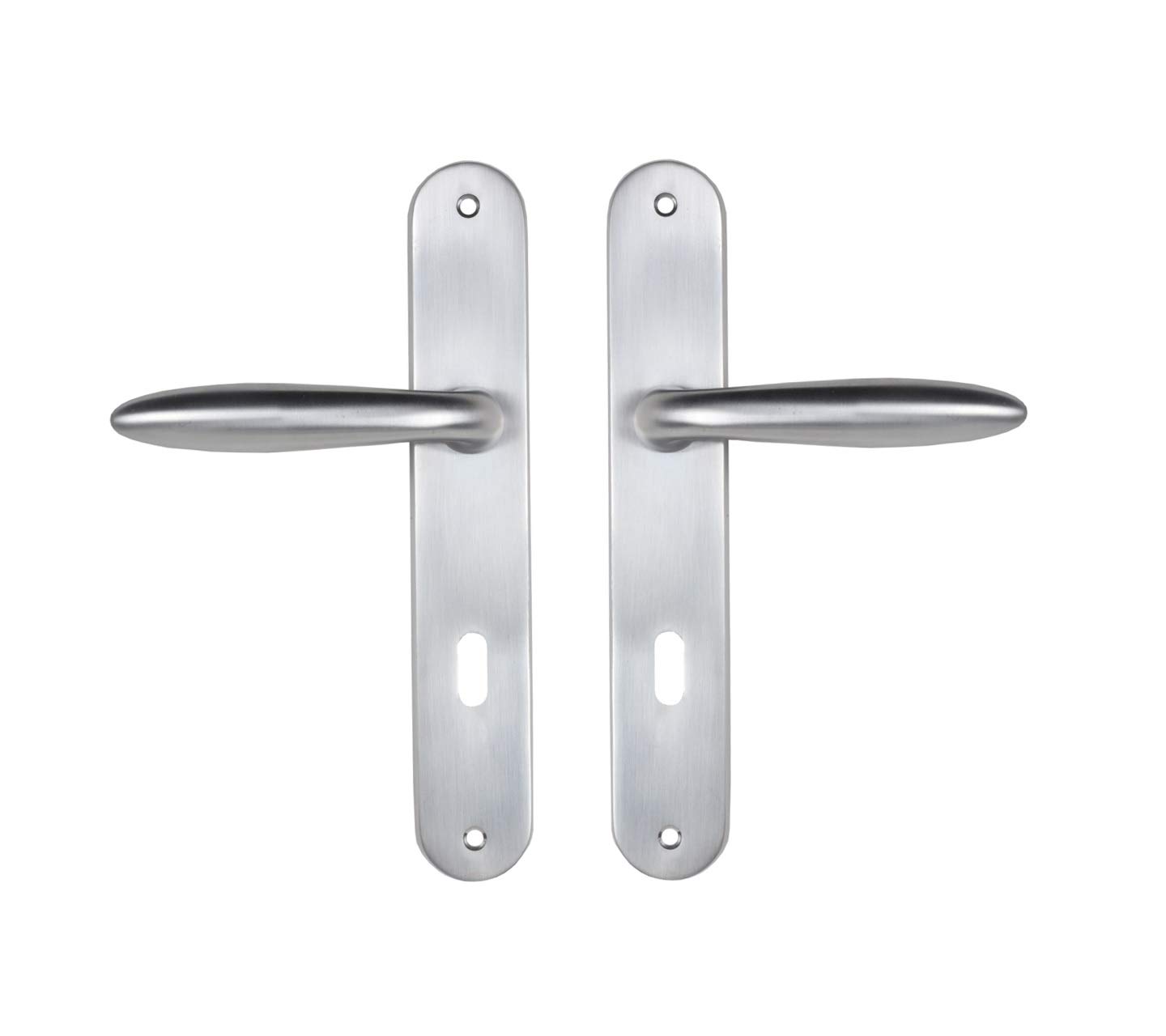 Bricard 984050 Set of Zamak Handles on Sketch Plate for Bedroom Interior Door, Silver