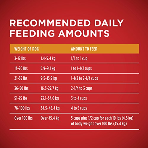 Purina ONE SmartBlend Chicken & Rice Dog Food - Image 12