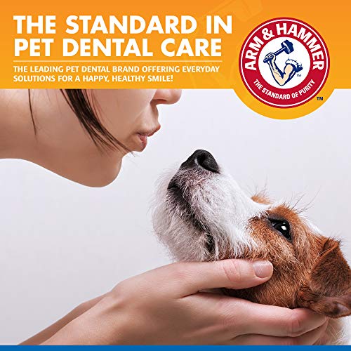 Arm & Hammer for Pets Dental Water Additive for Dogs, Tartar Control