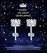 ANEWISH Jewelry Diamond Womens Zirconia 925 Sterling Silver Bride Stud Earrings for Lady Girl