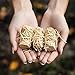 GRILL TRADE Tumbleweeds Fire Starter - All Natural Fire Starters easily burn up your Wood Stove Grill Fireplace Camping Fire Pit BBQ Pellets Charcoal Chimney Pizza Oven - 24 Firelighters in Box