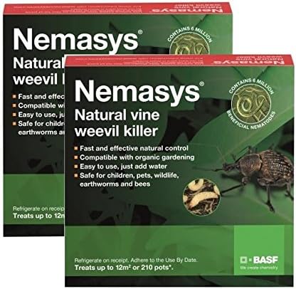 Nemasys Vine Weevil Killer Autumn and Spring Double Delivery 12sqm