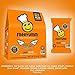 Gluten Free Nut Free Cookies | 21 Pack | FreeYumm Ginger Cookies | School Safe Allergen Free Snacks