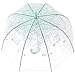 HAOCOO Cherry Blossoms Clear Umbrella,Bubble Transparent Fashion Dome Auto Open Umbrella Windproof for Outdoor Weddings (Green)