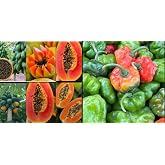 Set of Trending #1 Sweet Pepper Seeds, Aji Cachucha, Aji Dulce, Ajicito, Aji Gustoso. (30 Seeds) and 10 Seeds Red Heart Creamy Papaya Seeds - The Best of Papayas - Rich, Sweet