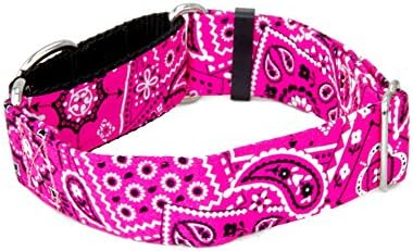 Caninus Collars Pink Bandana Paisley - 5/8" - 2" Width Dog Collar - Buckle & Martingale