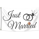 Fewern Just Married Flag Banner 3x5Ft with Brass Grommets Wedding Decoration for Outdoor Indoor Party