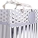 Hallmark Medium Gift Bag with Tissue Paper (Silver Stripes)
