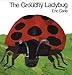 The Grouchy Ladybug (World of Eric Carle)