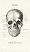 Cavallini Papers & Co Cavallini Vintage Skull Cotton Tea Towel