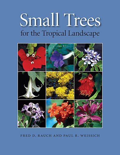 Small Trees for the Tropical Landscape by Fred D. Rauch, Paul R. Weissich