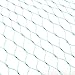 Green Anti Bird Net Garden Plant Fruits Fencing Mesh Protect Fruits from Rodents Birds, 13x 33ft