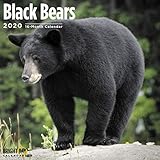 Black Bears Wall Calendar 2020 by 