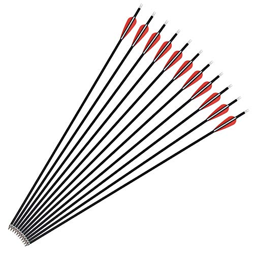 Szeo Archery Arrows 30 inch Carbon Practice Hunting and Target Arrows for Compound Recurve Traditional Bow with Removable Tips (Pack of 12)