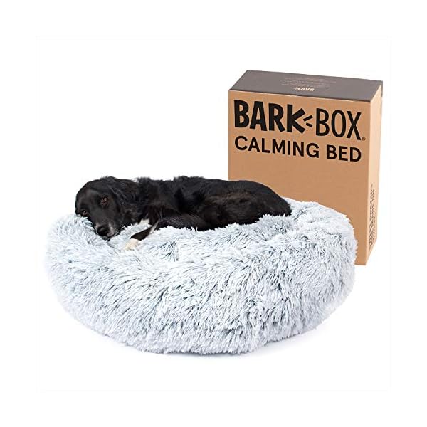 barkbox bed