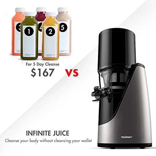 Tenergy Masticating Juicer, Anti-Oxidation Slow Speed Cold Press Juicer, High Nutrient Fresh Vegetable and Fruit Juice Extractor, Easy to Clean Juicer with Jug and Brush