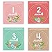 Monthly Baby Stickers | Waterproof Newborn Boys Girls Milestone Stickers | PAMBO Infant Age Belly Chalk Stickers | Scrapbook Photo Keepsake/Shower Gift Idea | 16in1