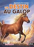 Dans la peau d'un mustang - Un destin au galop (10) (C'est toi le héros) (French Edition) by 