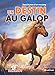 Dans la peau d'un mustang - Un destin au galop (10) (C'est toi le héros) (French Edition) by 