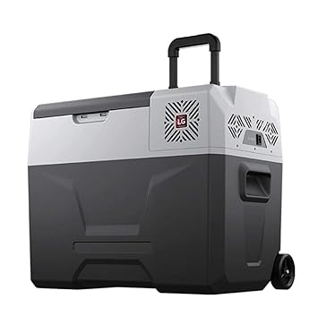 TYZXR 40L Nevera Coche con Compresor PortáTil Electrica Nevera ...