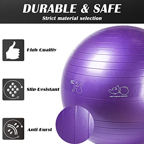 RACINESS Stability Purple Exercise Ball 65 cm Fitness Ball Yoga Ball