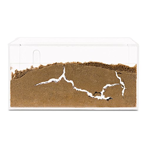 Sand Ant Farm - Educational formicarium for Live Ants - Thumbnail 2