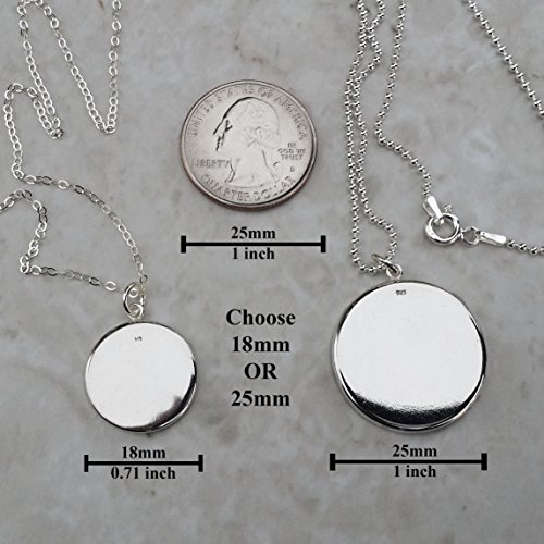 E. Coli Bacteria Petri Dish .925 Sterling Silver Necklace