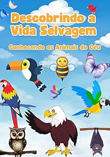 Livro Descobrindo a Vida Selvagem - Conhecendo os Animais do céu: Um livro de descoberta dos animais e suas características. (Descobrindo a Vida Animal)