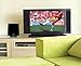 TERK Omni-Directional, Amplified Digital Flat Indoor HDTV Antenna