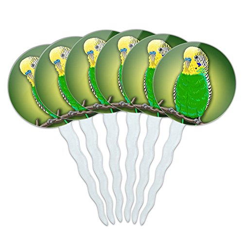 Set of 6 Cupcake Picks Toppers Decoration Birds and Raptors - Green Parakeet Budgie Bird