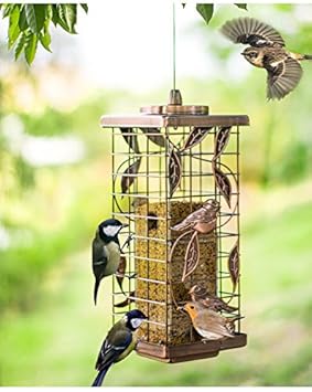 Agirlgle Squirrel Proof Bird Feeder Copper Finish For Outside With