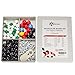 Chemistry Model Kit - Molecular Model Kit for General and Organic Chemistry - Student and Teacher Molecular Modeling Set (123 Pieces)