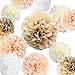 Vidal Crafts 20 Pcs Tissue Paper Pom Poms Kit, 14