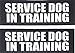 Albcorp Reflective Service Dog In Training Patches with Hook and Loop Backing for Service Animal Vests /Harnesses Medium (5 X 1.5) Inch