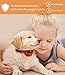 [UPGRADED 2018] No Bark Collar - Best Rechargeable Anti-Barking Shock Control with 5 Levels Automatic Bark Collar for Small Medium Large Dogs Electronic Safe Stop Bark (6+lbs)