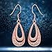 Women Rose Gold Plated Oval Dangle Earring Zircon Elegant Hook Eardrop