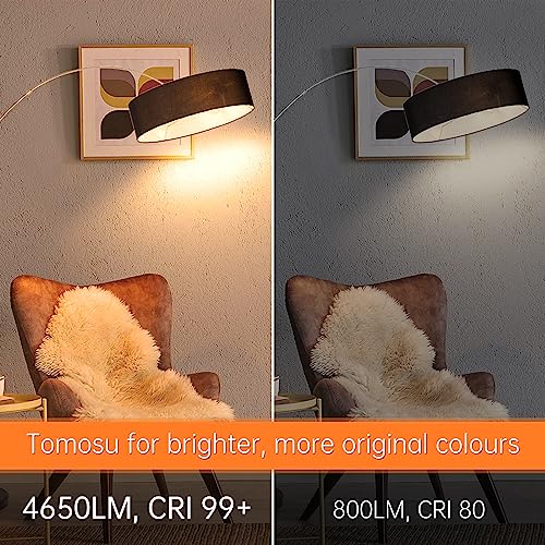 Tomosu 6 Pack R7s Halogen Bulb 118mm 230W Dimmable 230V 4650lm 2800k Warm White Energy Saving Tungsten Linear Bulbs Floodlight J118 Security Light Bulb