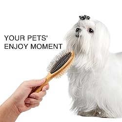 Dog Brush Cat Brush, Double Sided Bristle and Pin