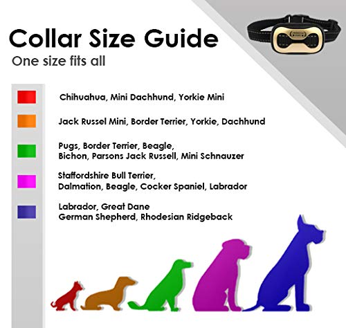 dynavet spray collar