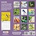 2020 Garden Birds Calendar 16 Month 12 x 12 Wall Calendar by Bright Day Calendars (Bird Calendar Collection) (Garden Birds 2019)